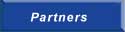 1stVsion technology partners