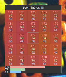 Fig. 219: Pixel viewer with zoom factor