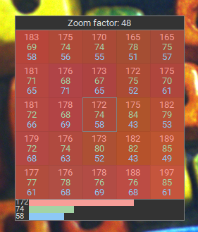 Fig. 232: Pixel viewer with zoom factor