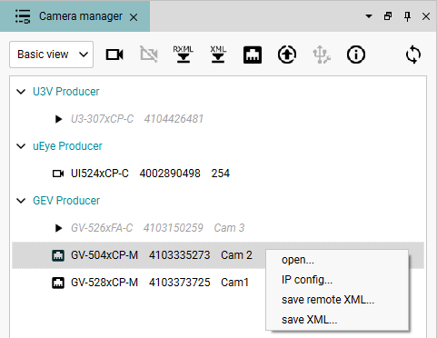 Fig. 216: Camera manager (basic view)