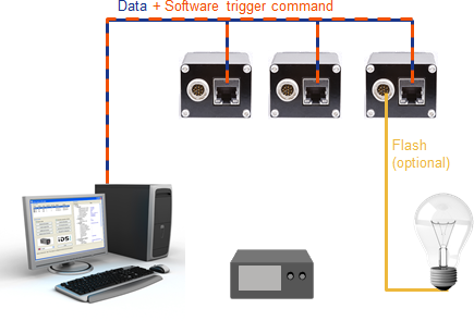 Fig. 61: Synchronization via software trigger