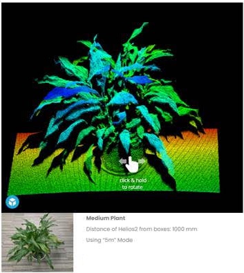 click image to see the 3D plant demo