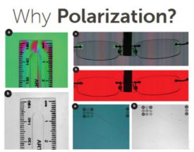 Dalsa Polarization camera