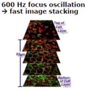image stacking for cells